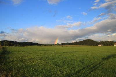 Scenic view of field against sky