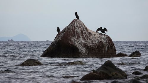 Scenic view of sea against clear sky