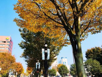 Low angle view of trees by building against sky during autumn