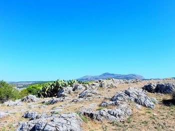 Scenic view of landscape against clear blue sky