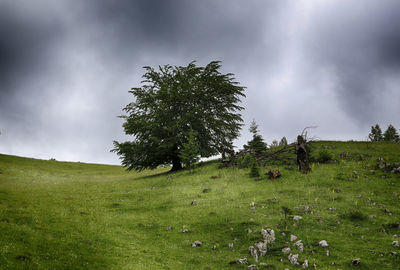 Scenic view of grassy field against cloudy sky
