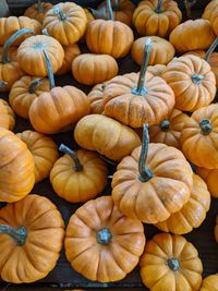 Full frame shot of pumpkins in market
