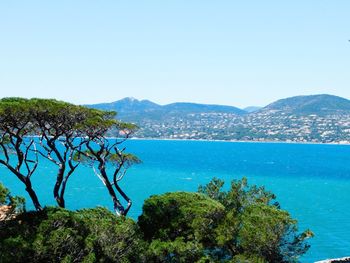 Scenic view of sea against clear blue sky