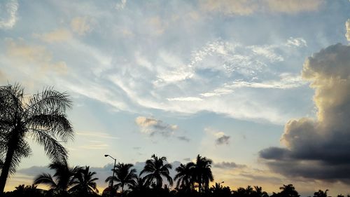 Low angle view of trees against cloudy sky