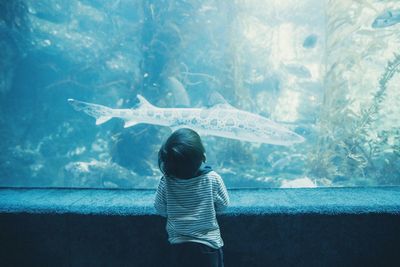 Rear view of boy in aquarium