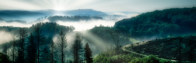 Panoramic view of trees and mountains against sky