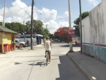 Rear view of man riding bicycle on road