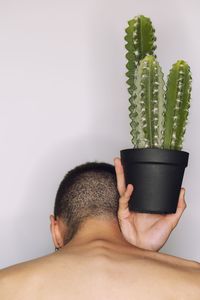 Rear view of man holding potted plant against white background