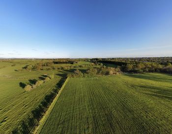 Scenic view of agricultural field against clear blue sky