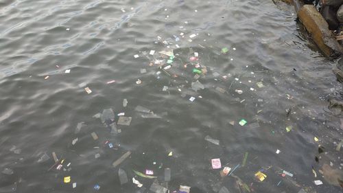 High angle view of swimming in sea