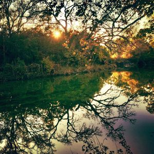 Reflection of trees in lake at sunset