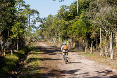 Rear view of man riding bicycle in forest