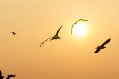 Silhouette birds flying against sky during sunset