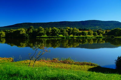 Scenic view of lake in forest against clear blue sky