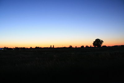 Silhouette trees on field against clear sky during sunset