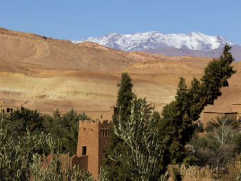 Scenic view of field and mountains against sky