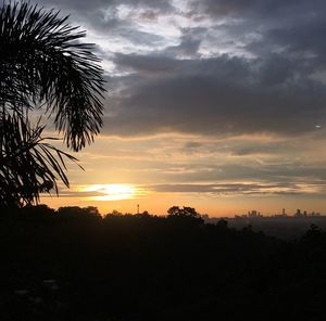 Silhouette trees against sky during sunset