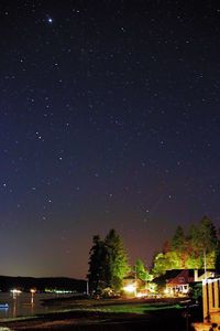 Illuminated trees against sky at night