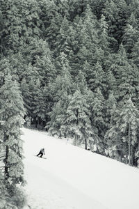 View of person skiing on snow covered land