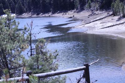 High angle view of lake in forest