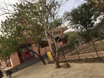 Trees by building against sky