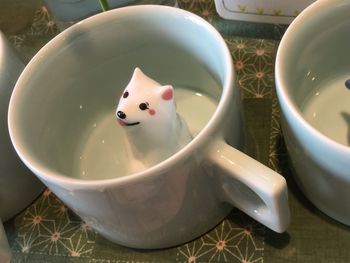 High angle view of pig in bowl on table