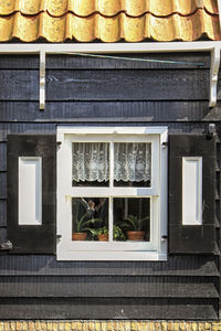 Close-up of window of building