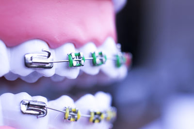 Close-up of artificial teeth