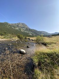 Scenic view of landscape against clear sky