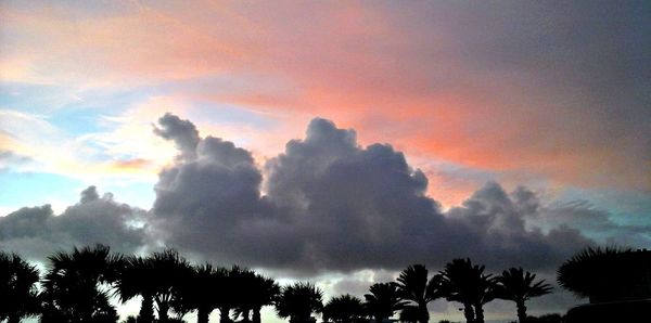 Low angle view of silhouette trees against sky