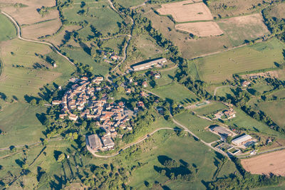 High angle view of agricultural field