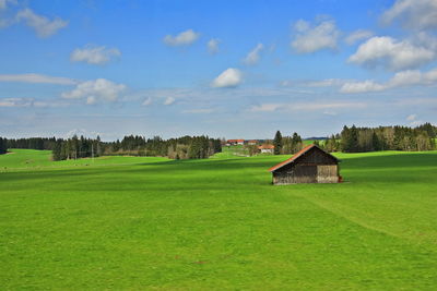 Nature landscape of mountain, forest clearing and green field above a village in switzerland.