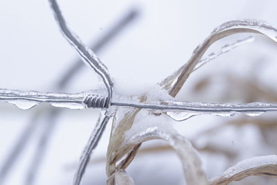 Close-up of icicles on metal fence during winter