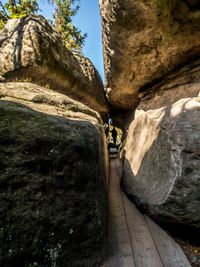 Rear view of man on rock