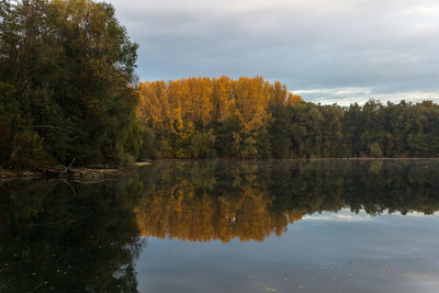 Reflection of trees in lake against sky