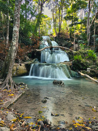 View of waterfall in forest