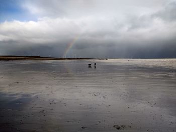 Scenic view of rainbow over sea against sky