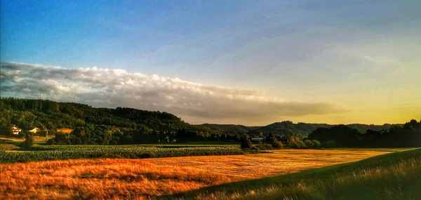 Scenic view of field against sky during sunset