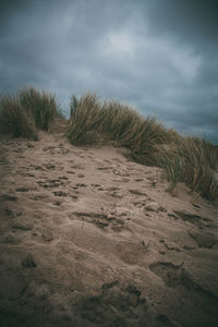 Scenic view of landscape against cloudy sky