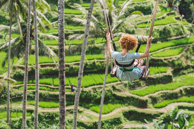 Rear view of man climbing on rope in forest