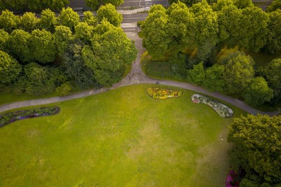 High angle view of trees and plants in stockholm city