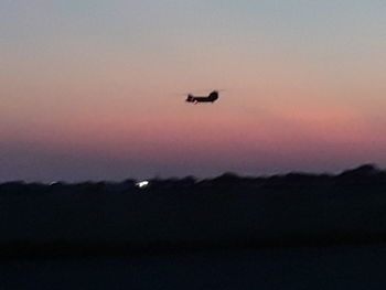 Silhouette bird flying against sky at sunset