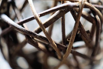 Close-up of rusty metal