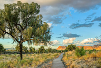 Road amidst trees on field against sky