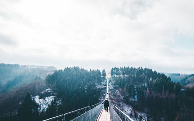 Road amidst trees against sky during winter