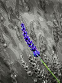 Full frame shot of black and white background