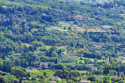 High angle view of trees and townscape