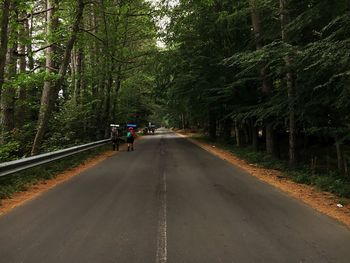 Rear view of people walking on road in forest