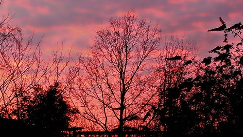 Silhouette trees against sky at sunset