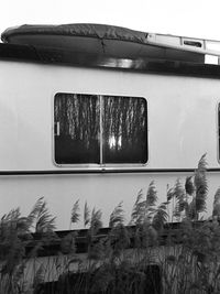 Reflection of trees on glass window